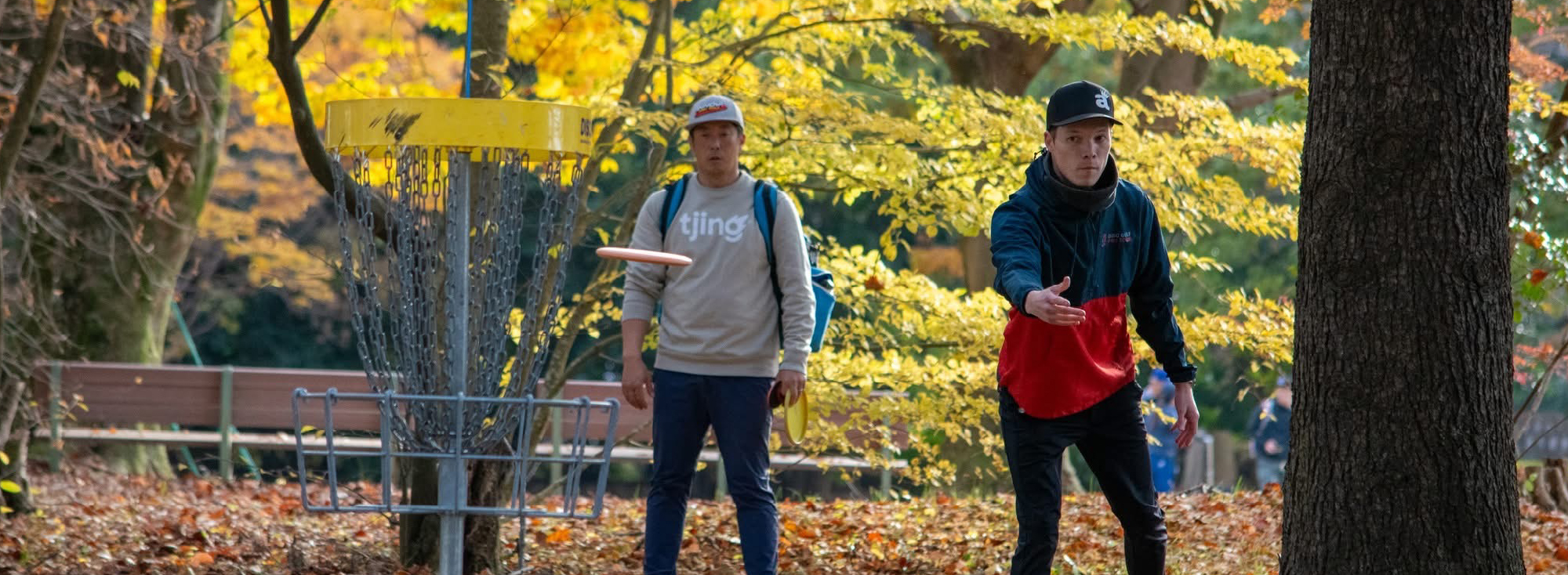 JAPAN DISC GOLF 
ASSOCIATION