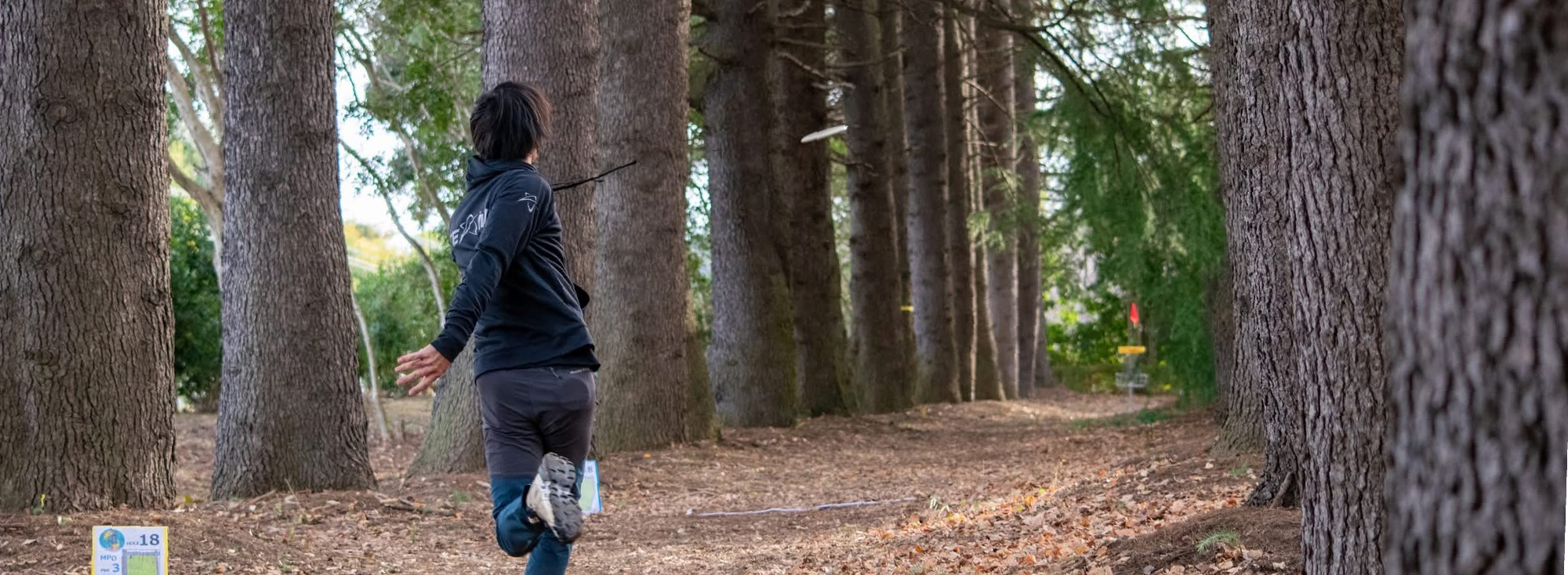 JAPAN DISC GOLF 
ASSOCIATION