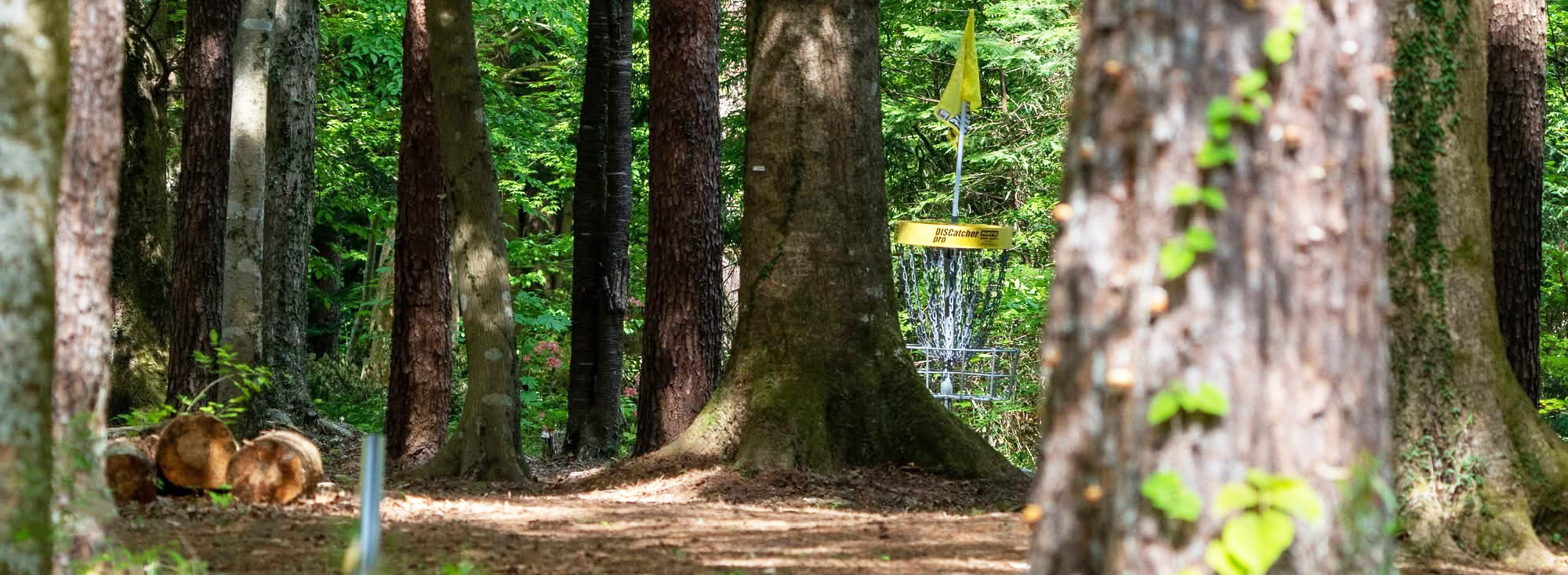 JAPAN DISC GOLF 
ASSOCIATION